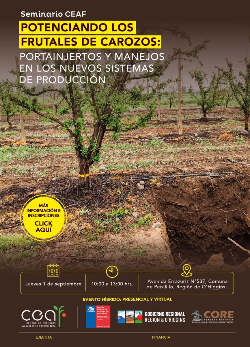 Este jueves 1! Seminario CEAF Potenciando los frutales de carozos: porta injertos y manejos en los nuevos sistemas de producción.