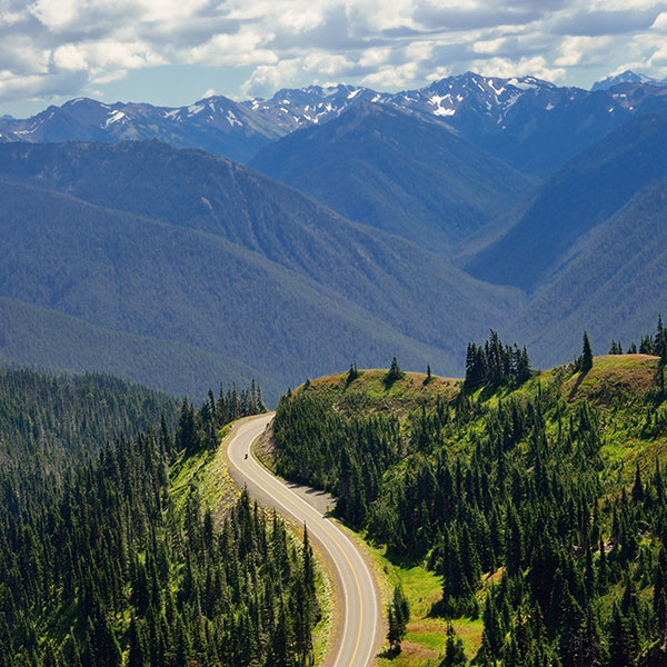 victoriavisitor's tweet image. From sea, to sky, to everything in between! ⛰️

Introducing the new Hurricane Ridge Shuttle + Ferry packages by @MVCoho. Hop on a sailing from Victoria, then the shuttle directly to Hurricane Ridge in Olympic National Park.

🔗: cohoferry.com/.../hurricane-…... | #ExploreVictoria