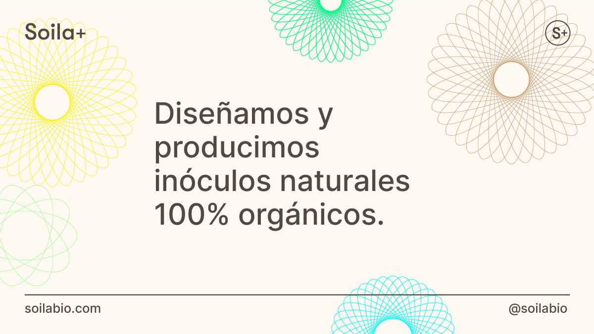 Desarrollamos un paquete tecnológico compuesto por microorganismos, enzimas y trazas naturales para tratar materia orgánica contenida en residuos urbanos y agroindustriales, que los transforma en un abono orgánico de alta calidad.