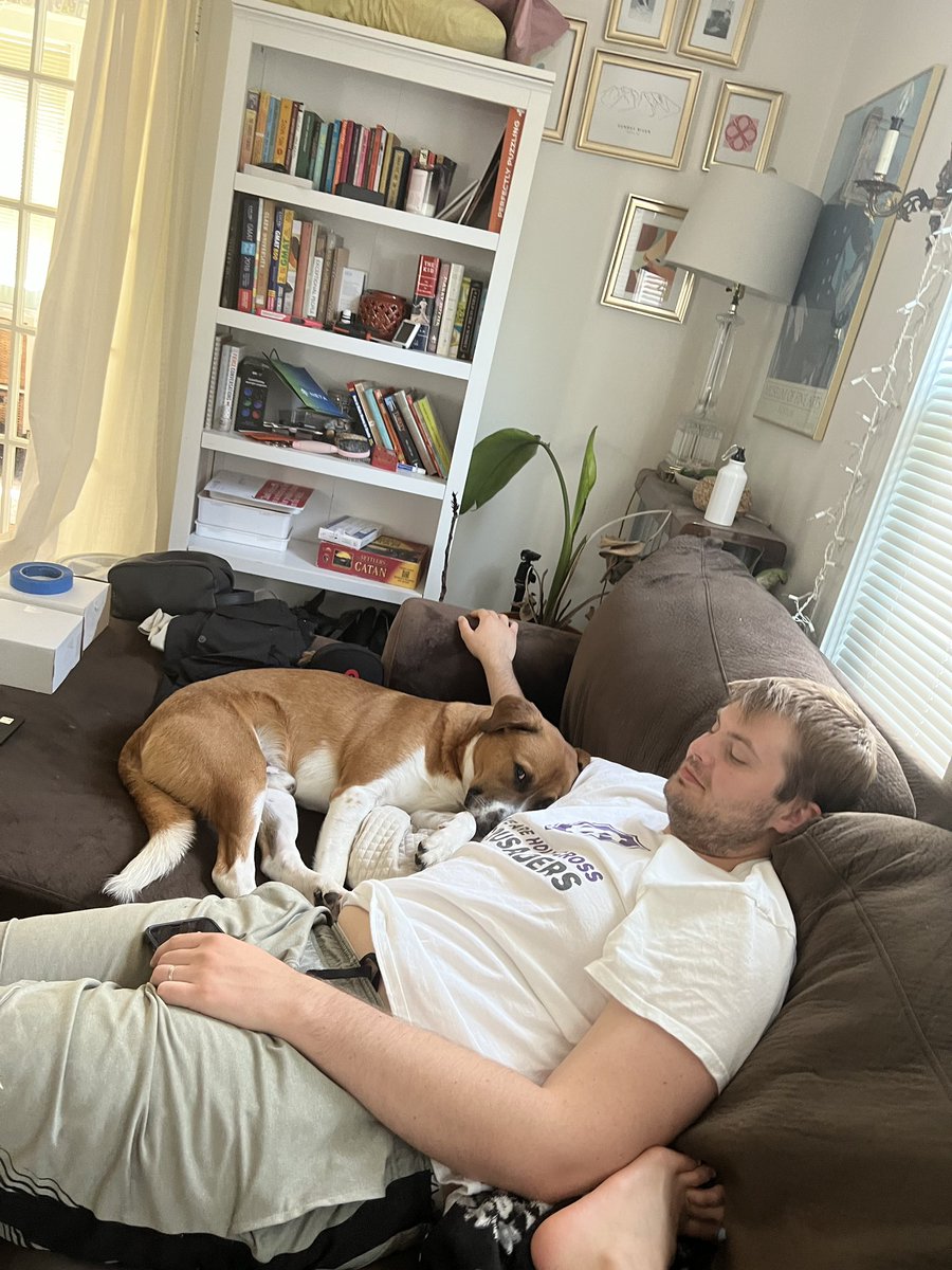 AllThatAnalysis's tweet photo. @dog_rates @Trupanion https://t.co/u2EgOBw2Pw