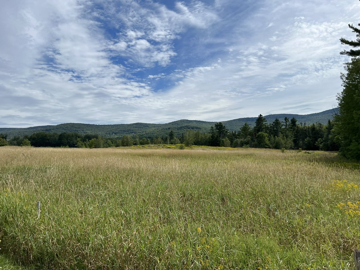 A little Vermont beauty to brighten your Monday.