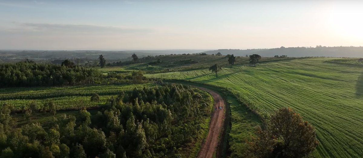 d9monti's tweet image. With the help of a drone, @maryw_ngugi takes you with her on a 25 km training run in #Nyahururu. She's preparing for the #TCSLondonMarathon on October 2. youtu.be/pTqkthQpGcg