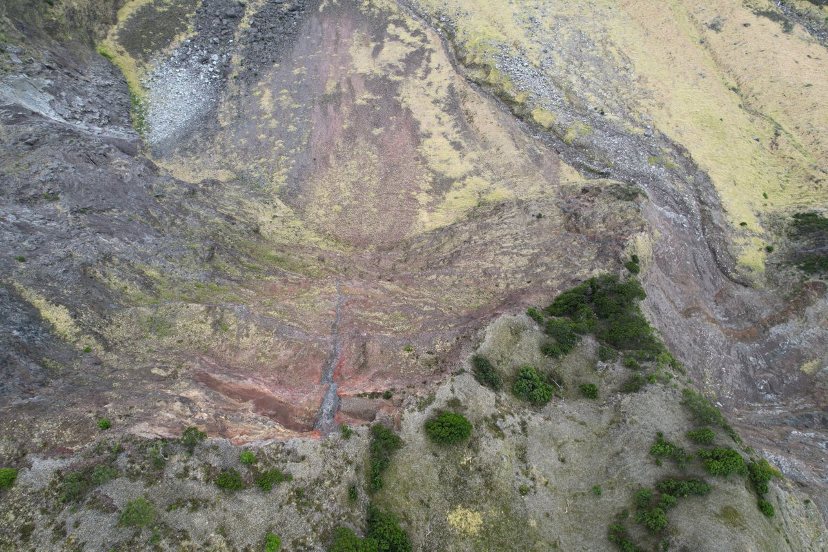 Neil Golding (@nautical_neil) on Twitter photo Today we got our 1st proper #albatross eye-view looking down from the Base of #TristanDaCunha. Terrain-following capability provided by <a href="/DronesMadeEasy/">Drones Made Easy</a> allowed us to collect some stunning data! <a href="/volcanna/">Anna Hicks</a> got VERY excited seeing the 1st ever close-ups of this section of the cliff Today we got our 1st proper #albatross eye-view looking down from the Base of #TristanDaCunha. Terrain-following capability provided by <a href="/DronesMadeEasy/">Drones Made Easy</a> allowed us to collect some stunning data! <a href="/volcanna/">Anna Hicks</a> got VERY excited seeing the 1st ever close-ups of this section of the cliff