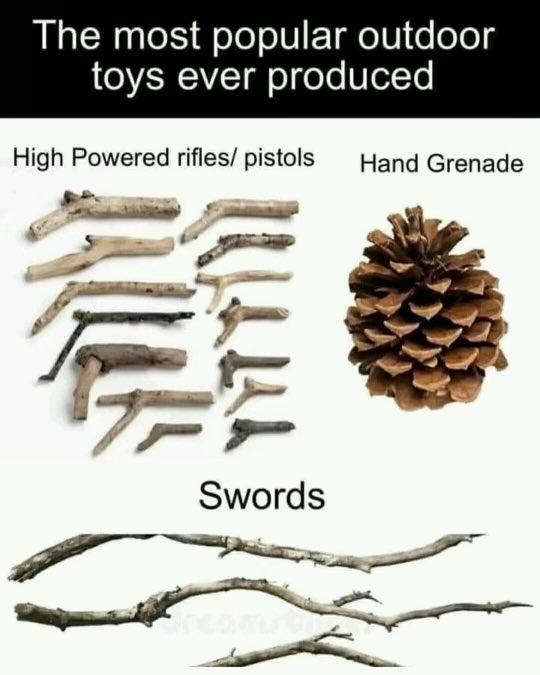 PrepLeak's tweet photo. 🌲I think I played with some of these growing up. #outdoors #childood #toys (📸Reddit) https://t.co/Jnp2aqyP9g