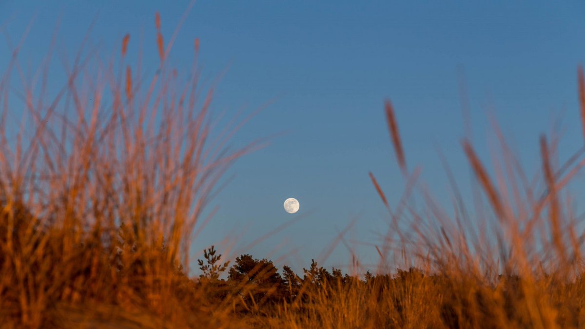UWMPlanetarium's tweet photo. September's #FullHarvestMoon reaches peak illumination tomorrow morning, September 10th, at 4:48 am🌾 #SeptemberFullMoon #HarvestMoon

📸 J Pelz Photography https://t.co/IAMOXNN35m