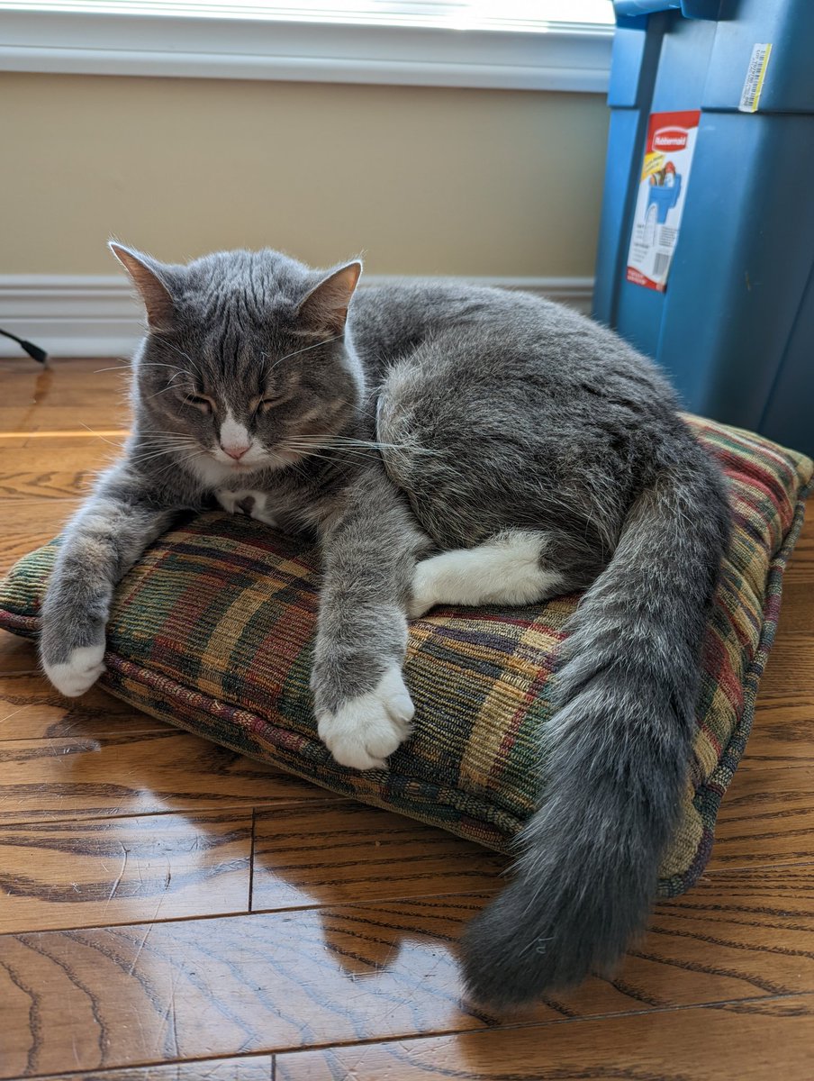 Maggie May 🍁🚀 🛰️📡 tweet media