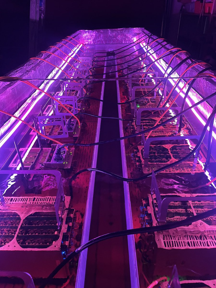 KOR Blockchain. MINT LIVE tweet media