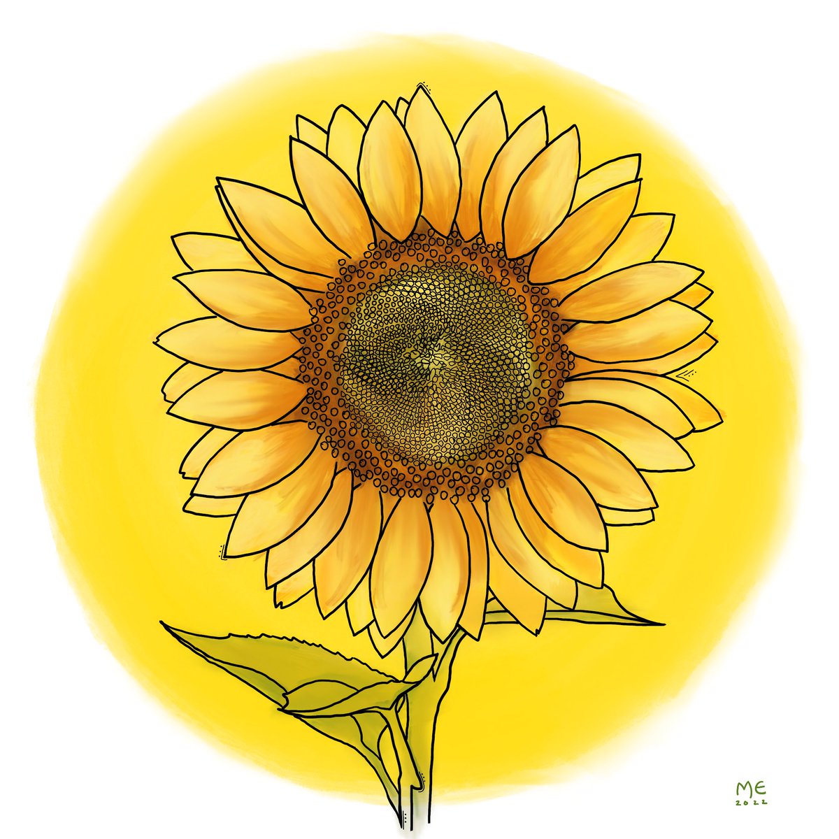 CseventyBee's tweet photo. Monday Drawing #melissaroseellisart #cseventybee #cseventybeeart #digitalart #procreate #sunflower https://t.co/cVwFCuWn3P