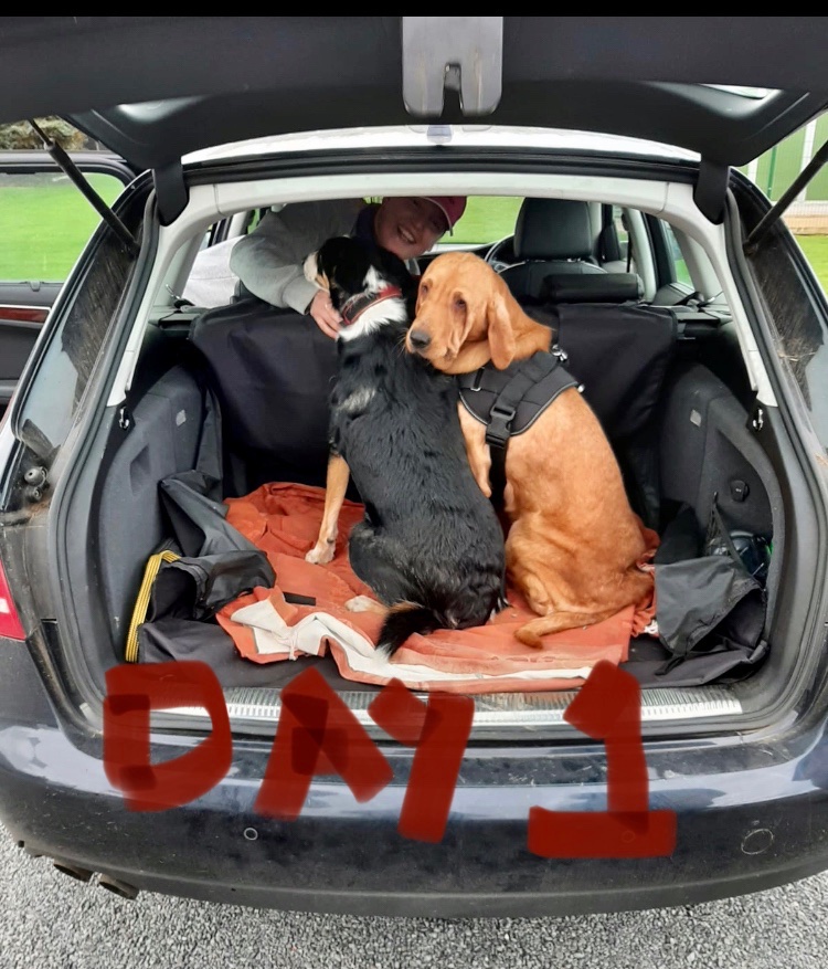 nichababyrne's tweet image. ADOPTION FINALISED! #Welcome2Family #Foster2Adopt @RSPCA_official