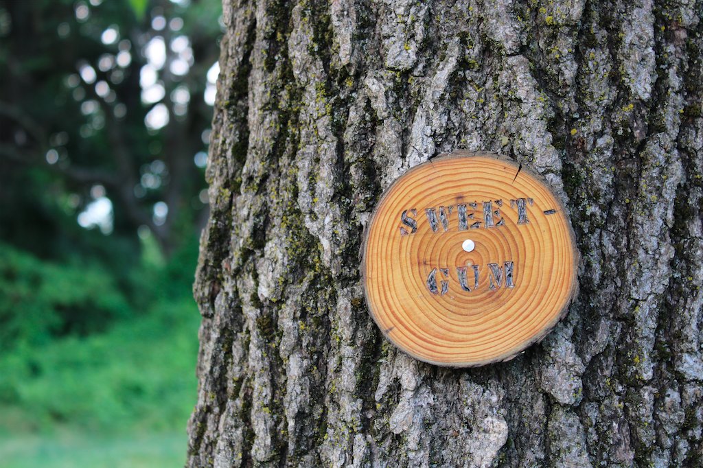 LandHealth Institute tweet media