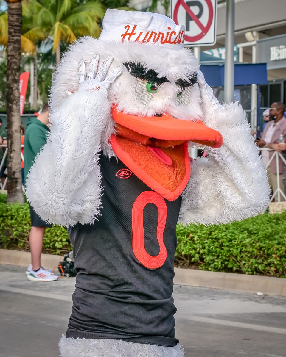 MiamiHurricanes's tweet image. Can't believe it's finally here...IT'S GAME WEEK!!🙌