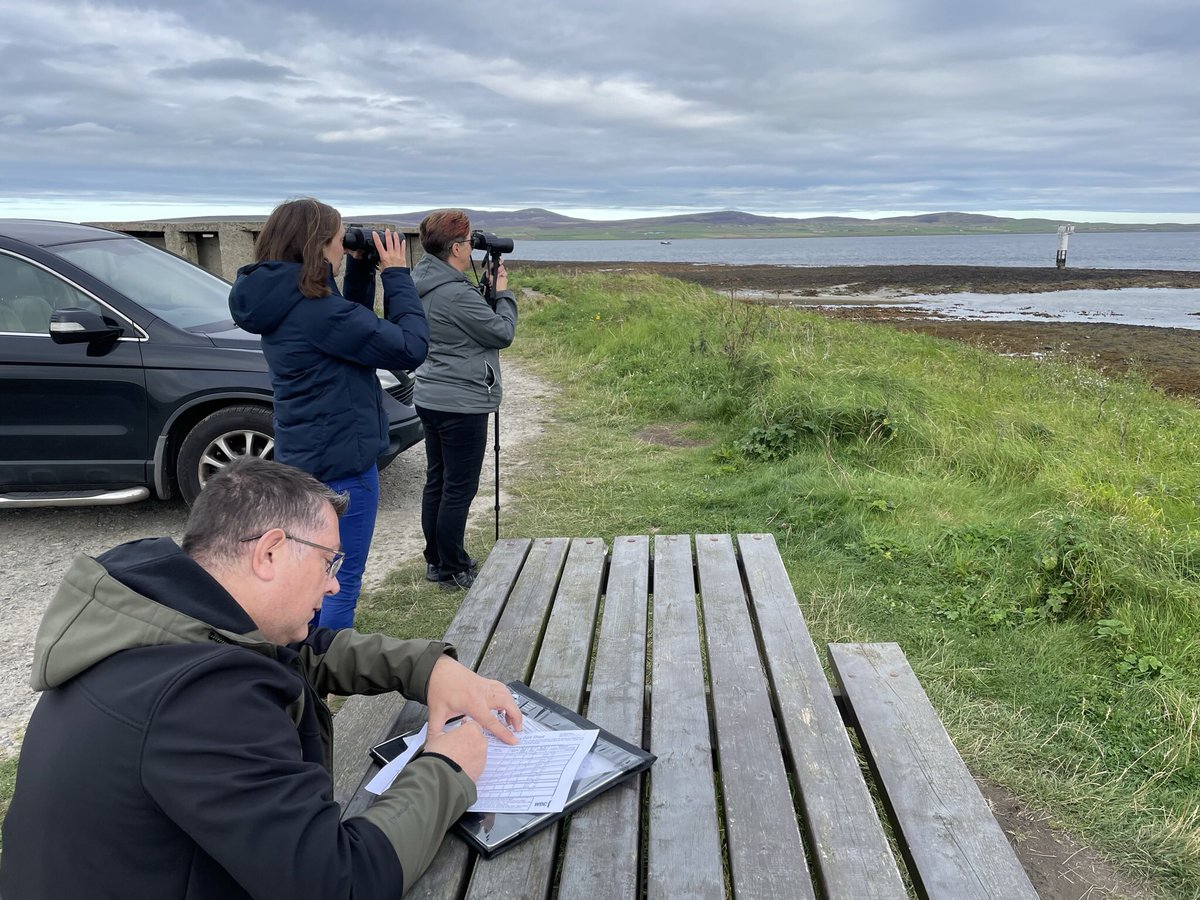 MorrisLeigh's tweet photo. Two WW1 German wrecks today, then met up with @emma701 from @whalesorg and Trustee of @ScotWildlife @ScotWild_YL along with two volunteers for an insight into the #ShoreWatch programme and to learn about the conservation issues in the Orkneys. Thanks Emma! #orkneys 🌊🤿🏴 https://t.co/oypPvYOQ0R