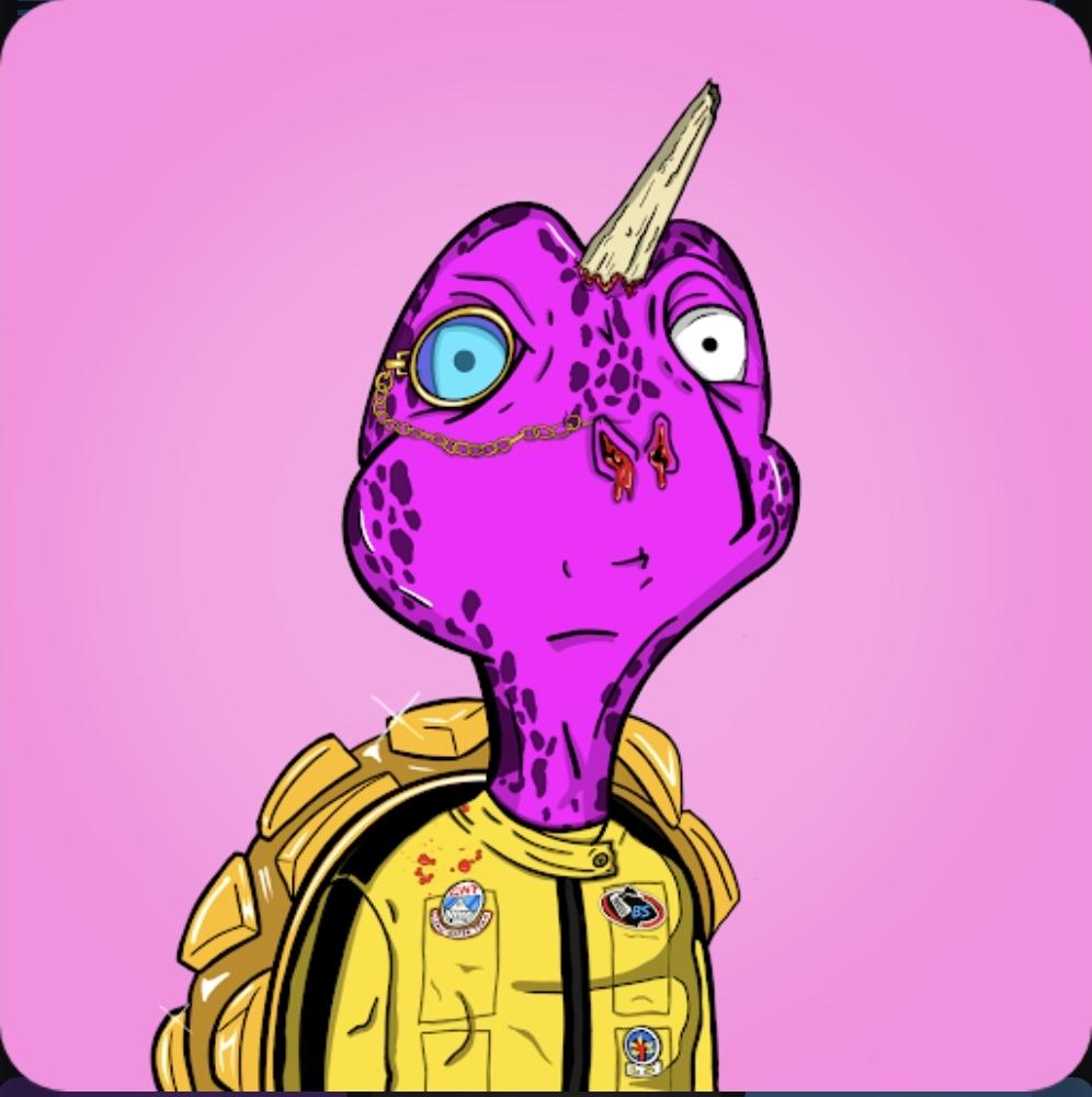 connycrypto's tweet photo. scooped another #bakedshellz #NFTProject...monocle bill killer rocking the gold shell π₯π₯ π’π’π¨π¨ https://t.co/u3rakG0YeS