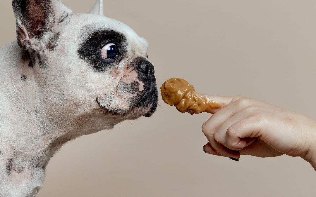 True love doesn't need proof. The eyes tell what the heart feels. 

#ToKnowThemIsToLoveThem #SummerLovin
@krutherfordphoto