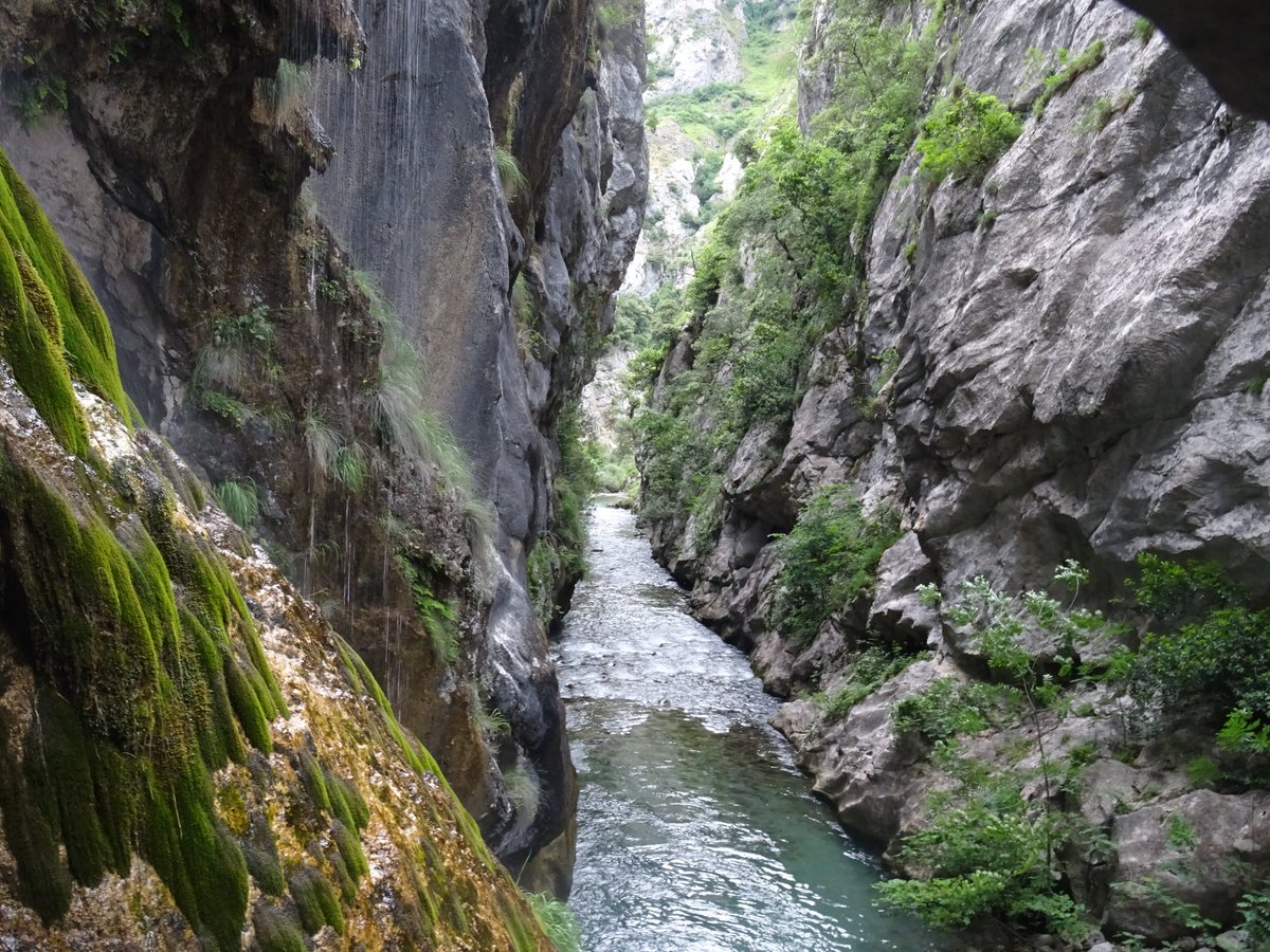 UPLeones's tweet photo. Pero además, hay ríos de cierta fama en regiones vecinas que tienen su nacimiento en la Región Leonesa, siendo el caso del #Sella (que nace en @ValledeSajambre), el #Alagón (que nace en Frades de la Sierra), el #Bibey (nace en @Porto_Sanabria) o el #Cares (nace en @ValleValdeon). https://t.co/9Paf5TLpOl