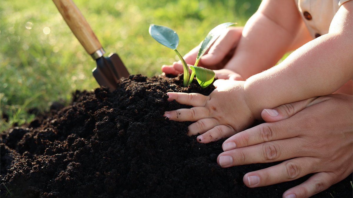 BrowardParks's tweet photo. Preschool Play 'N' Learn at #LongKey Wed 10-11AM. Preschoolers (3-5) explore the natural world with hands-on activities, stories, songs and a nature walk or animal encounter. $5/child with an adult. Call 954-357-8797 to preregister. https://t.co/vIDudKMNTa