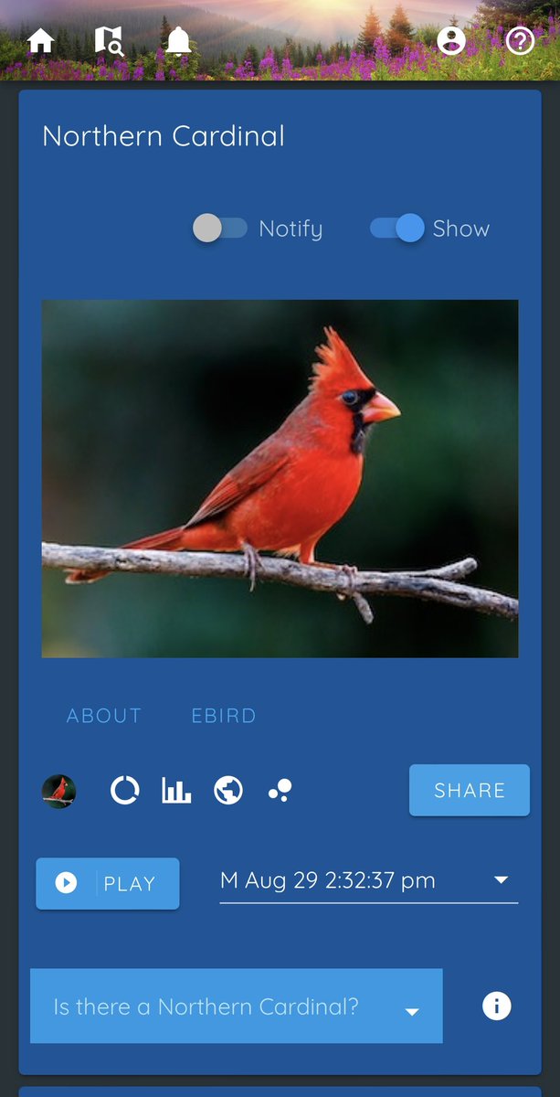 I want to tell you about a really cool backyard birding tool I’ve been using called Haikubox. 

Sound ID tech is revolutionizing birding, and Haikubox continually listens and IDs the birds outside your home. It’s awesome. <a href="/HaikuboxNature/">Haikubox</a>