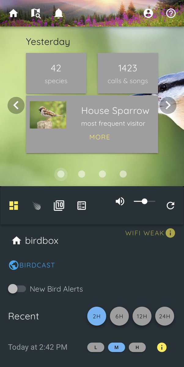 The Birdist tweet media