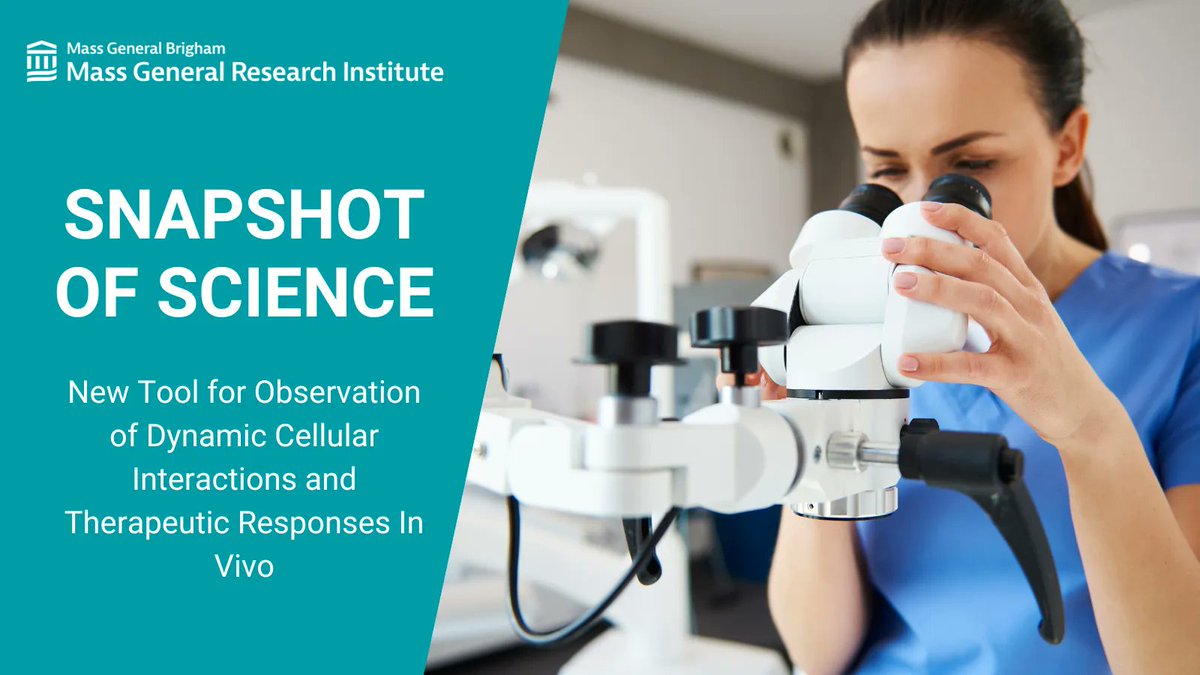 Mass General Brigham Research (@mgbresearchnews) on Twitter photo Researchers from <a href="/MGHCSB/">MGH Center for Systems Biology</a> and colleagues find a new tool for observation of dynamic cellular interactions and therapeutic responses in vivo, in a @AdvSciNews study. pubmed.ncbi.nlm.nih.gov/35750648/ Researchers from <a href="/MGHCSB/">MGH Center for Systems Biology</a> and colleagues find a new tool for observation of dynamic cellular interactions and therapeutic responses in vivo, in a @AdvSciNews study. pubmed.ncbi.nlm.nih.gov/35750648/