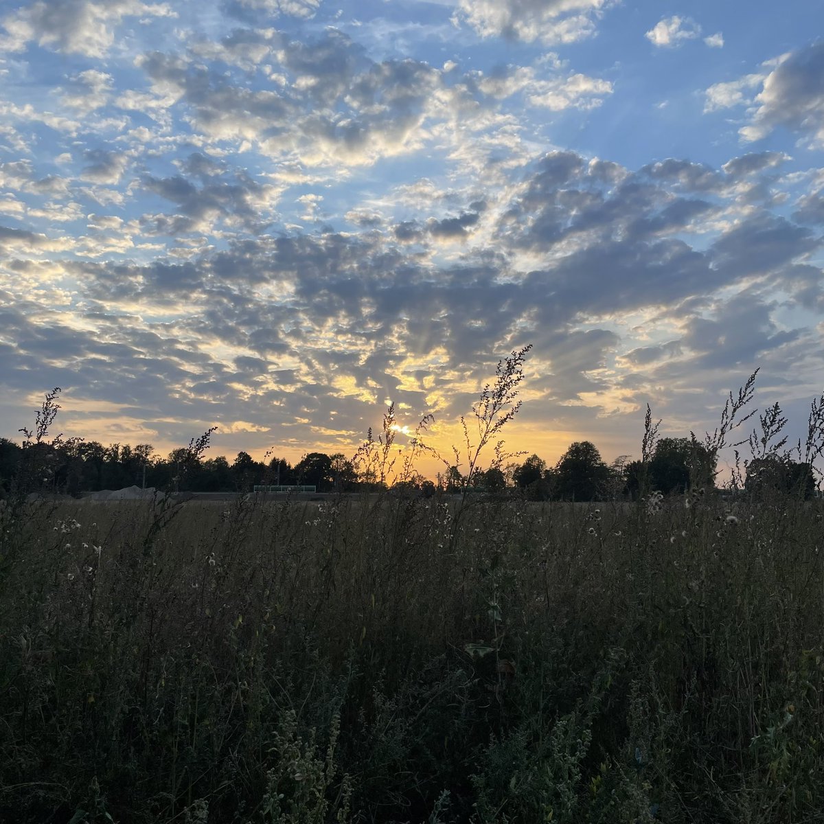 Felt like dancing on my walk when listening to <a href="/yanntiersen/">E</a> . Felt quite liberating. Should do more of it. 
youtu.be/IbB1oPF22sw