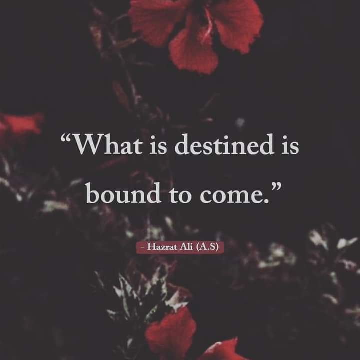 Syed Murshid Nizami (@murshidnizami) on Twitter photo 