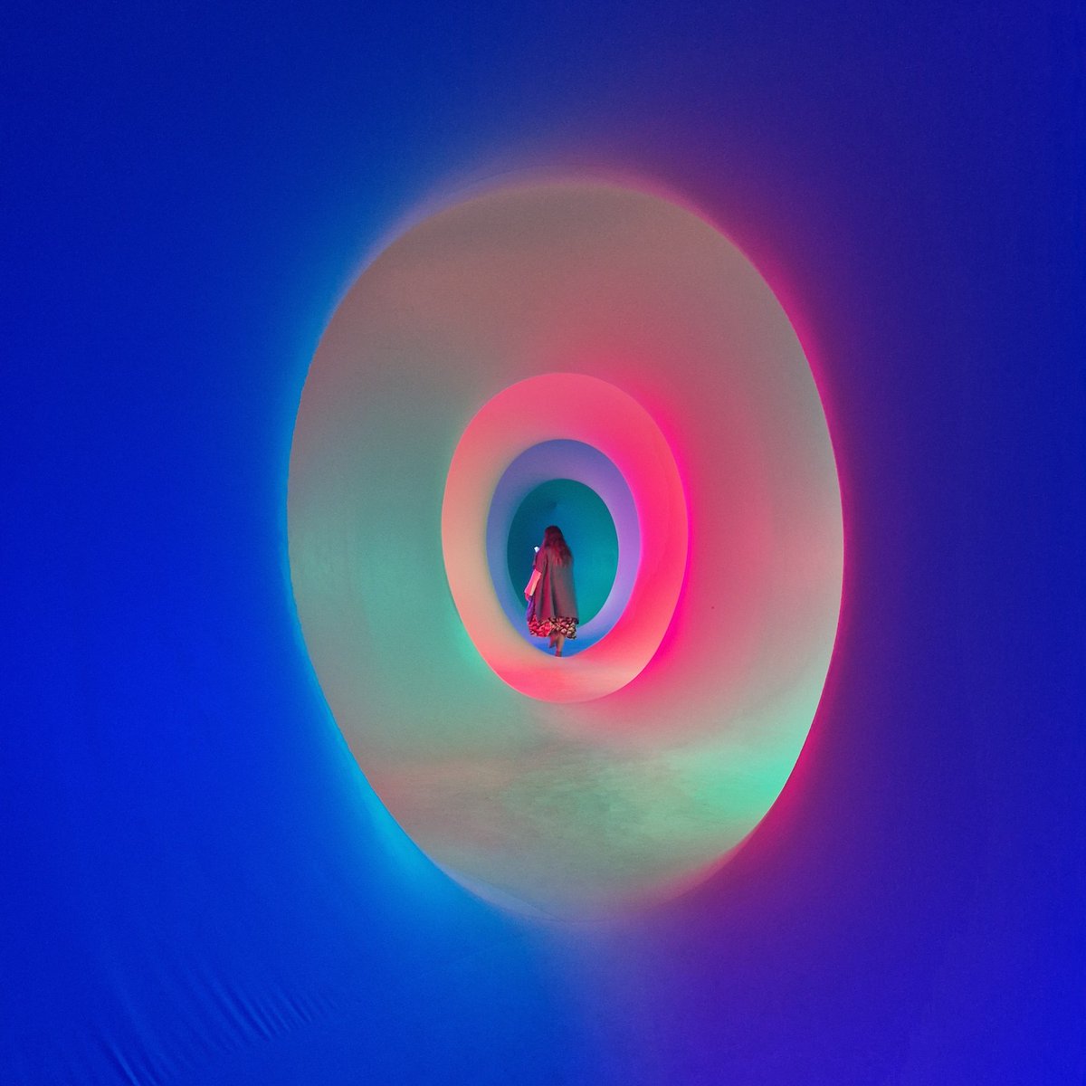 nessy_samuel's tweet photo. Ended the bank holiday weekend @CassioburyPark #colourscape @visit_watford @WatfordCouncil kids loved it. #MyTownWatford https://t.co/PVbGSsrbYV