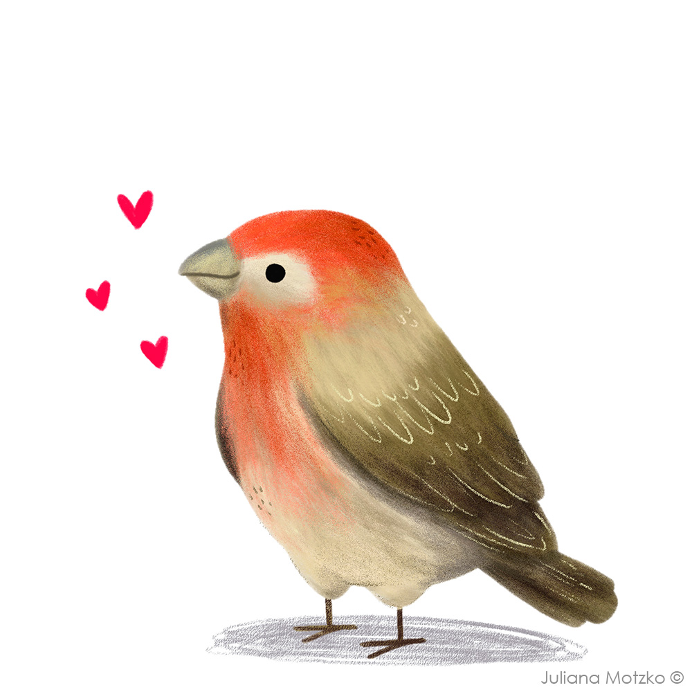 A House Finch Bird, celebrating the amazing @birdwhisperers #BirdWhispererProject #Bird #HouseFinch #Cute #Illustration #Illustrator #JulianaMotzko