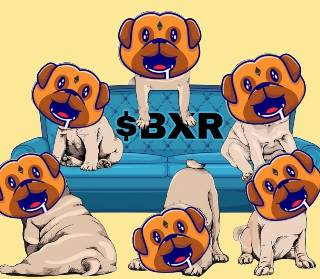 BoxerInuERC's tweet photo. The $ BXR family gets bigger every day!
#BoxerInu #BXR #ETH #Ethereum #NFT #Memecoin #finance #Crypto #NFTCommunity #NFTGiveaway #Defi #BNB #Binance #BscGem #x1000Gems #HouseOfTheDragonHBO #BBNaija #VMAs #Shitcoin #EthereumClassic https://t.co/vhUZvWHIAT
