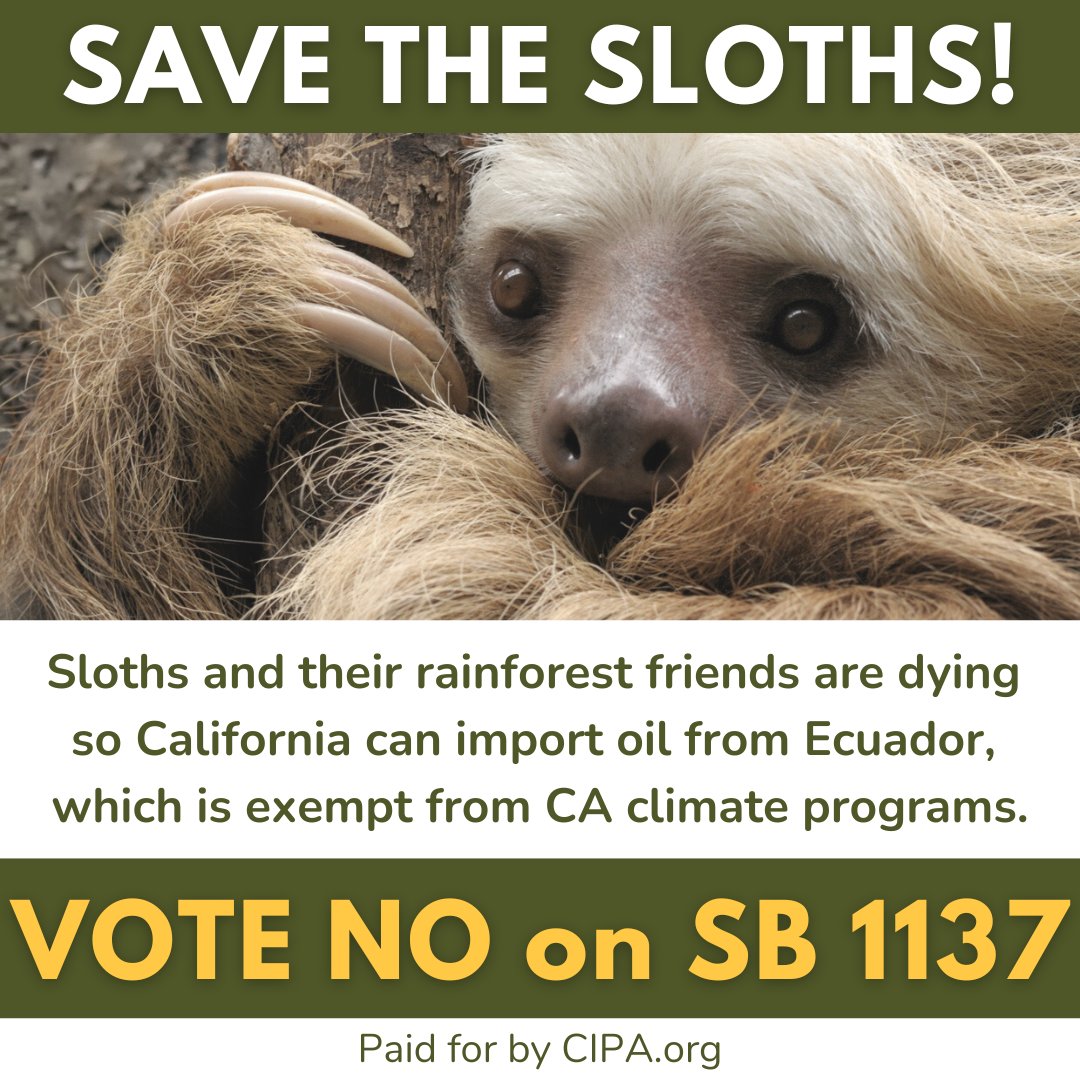 BeanWyo's tweet photo. Ironically, a vote for #sb1137 setbacks, called โgreenโ by extremists, is a vote to destroy the Ecuadorian rainforest, along with sensitive animals and habitat, and to displace the indigenous tribes that have made their home for thousands of years. #NoOnSB1137 #savesloths https://t.co/fJmM27eTjY