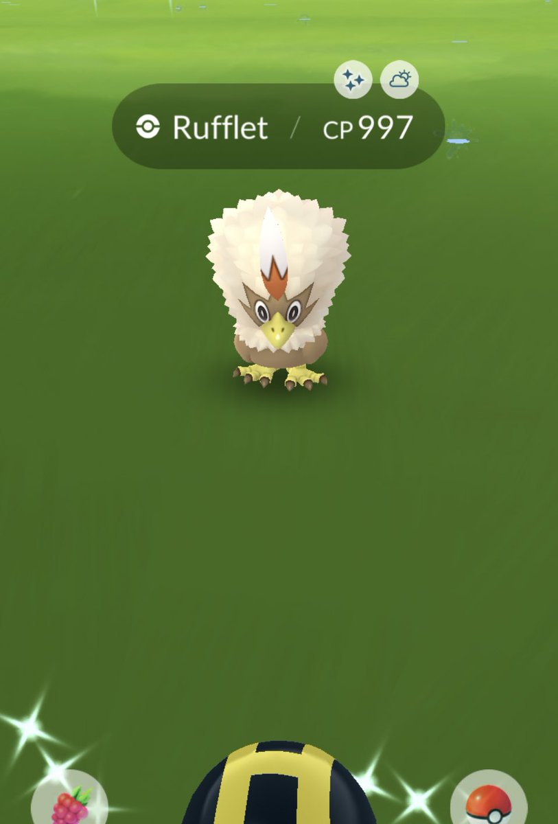 AvatarFailed39's tweet photo. Good things happen when you don’t expect them 😁✨🦅 I love Rufflet! #Pokemon #PokemonGoApp #ShinyCheck #ShinyRufflet https://t.co/OBgmdnjjTE