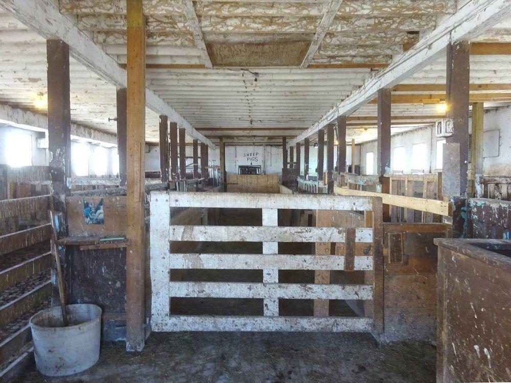 WhigStandard's tweet photo. Prison farm group critical of Joyceville Institution abattoir 
https://t.co/FuXQgiOMvJ https://t.co/pVVEII3L7z