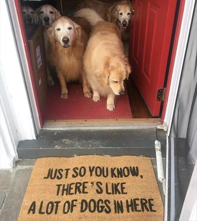 WholesomeMeme's tweet photo. https://t.co/TFiPILQo15