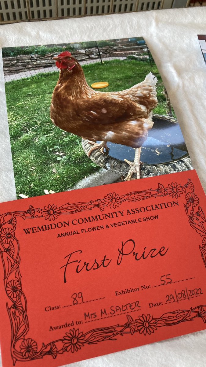 My lovely Chicken Marigold won first prize in the ‘my favourite pet’ photo category.. So nice to be the owner of a prize winning chicken 🐓😊🌸
