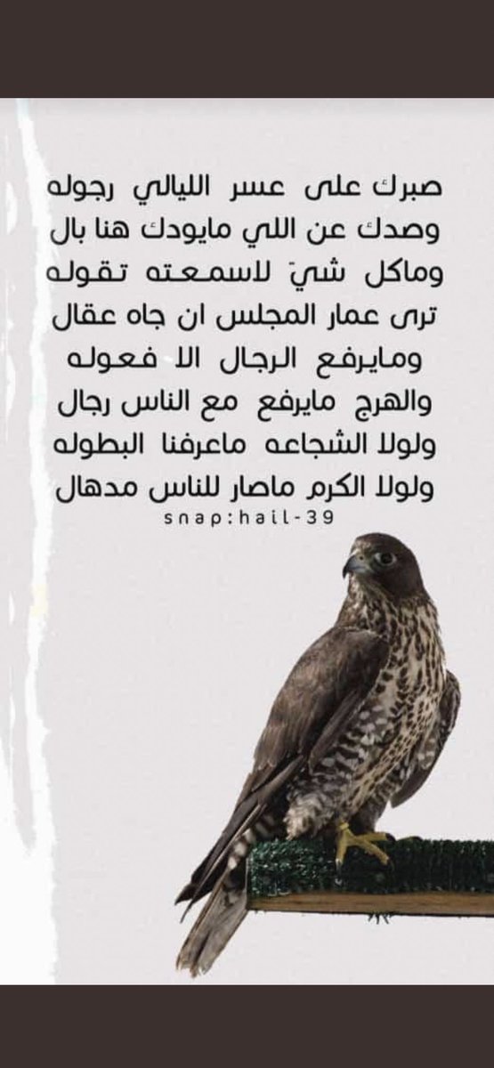 عبدالله بن فارس بن بادي (@alfaris88991) on Twitter photo 