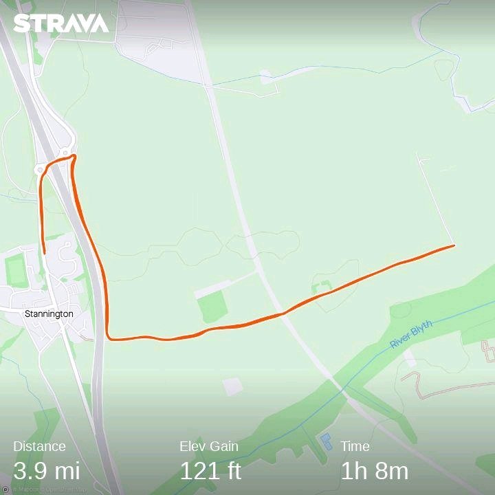 Lovely evening walk with the girls to finish the Bank Holiday weekend. Time now to prep for rest of week at work #AHPsActive