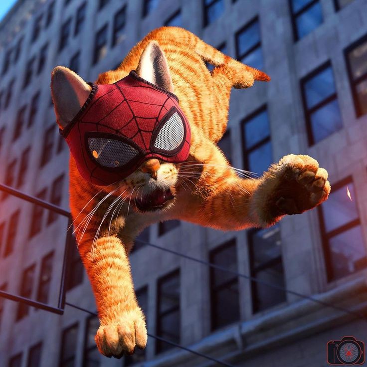 Marvel's Spider-Man • Spider Cat😊📸 #SpiderManRemastered #PS4share #SpidermanPC #VirtualPhotography #SpiderManNowWayHome