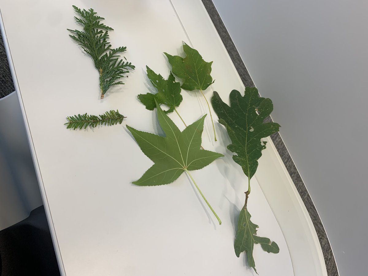 Val LaMore tweet media