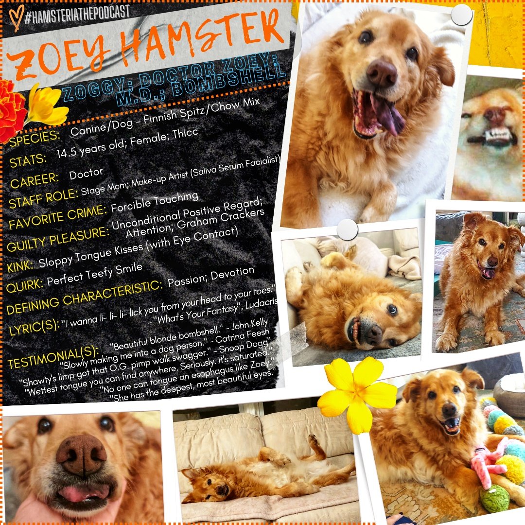 hamsteriathepod's tweet photo. We're still counting down to the @hamsteriathepod Pilot Release this Friday, September 2nd, 2022. Next up is our Stage Mom, Zoey Hamster ✨

#hamsteria #hamsteriathepodcast #podcast #janelhamster #janelhamstercomedy #comedypodcast https://t.co/SvRMKJtmPf