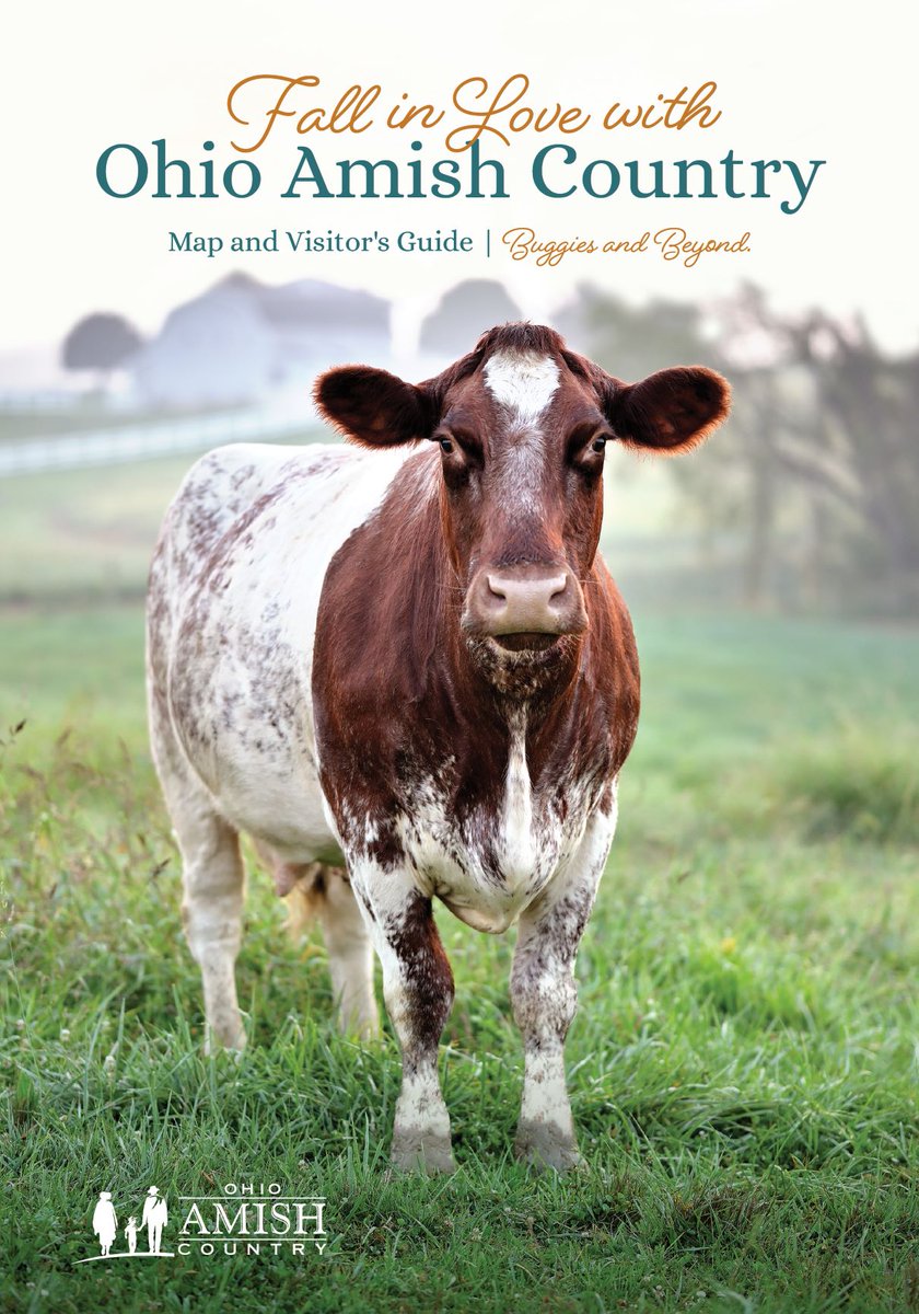 We have just a little over a week left to get those contracts in for the 2023 Ohio Amish Country Guide!
We love promoting all locations in our region and want to make sure we are not missing anyone.
To get more information on being a part of our guide reach out to Shannon Carter.