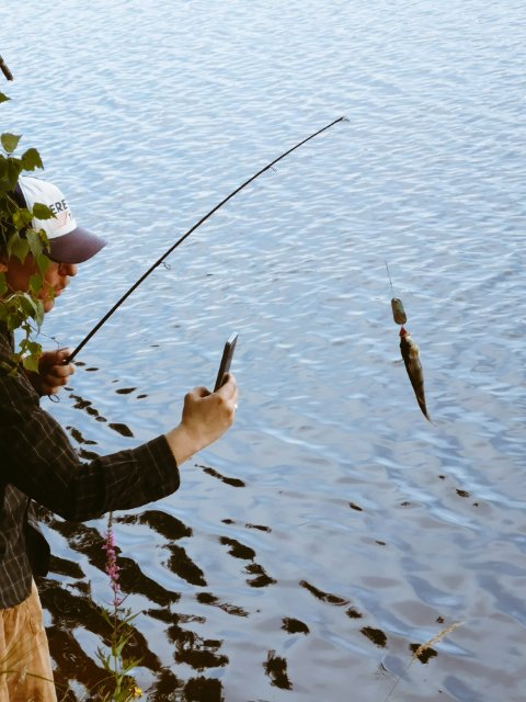 ¿Que? Kwai¡¿ imageshack.com/login 

Fishy don't login. Fishy picture taken by unknown entity of a (Kingfisher [fan]) man taking a photo of a fishy. No login needed. Good day.

#Jarihates #logins <a href="/JariForPres/">Jari Huotari</a>