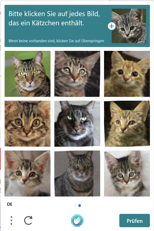 Janik6882's tweet photo. @hCaptcha Katzenbilder sind ja wirklich niedlich, aber angeblich ist es falsch, alle anzuklicken. Euer Ernst? https://t.co/5DA9y3nNv5