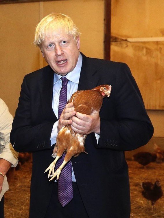 RobinFlavell's tweet photo. Hold a chicken in the air
Pump raw shit into the sea
Spend six weeks abroad
As we face catastrophe
Leave a trail of lies
Written on the Brexit bus
And condemn us all
To the new PM Liz Truss https://t.co/qEjS0VAg1d