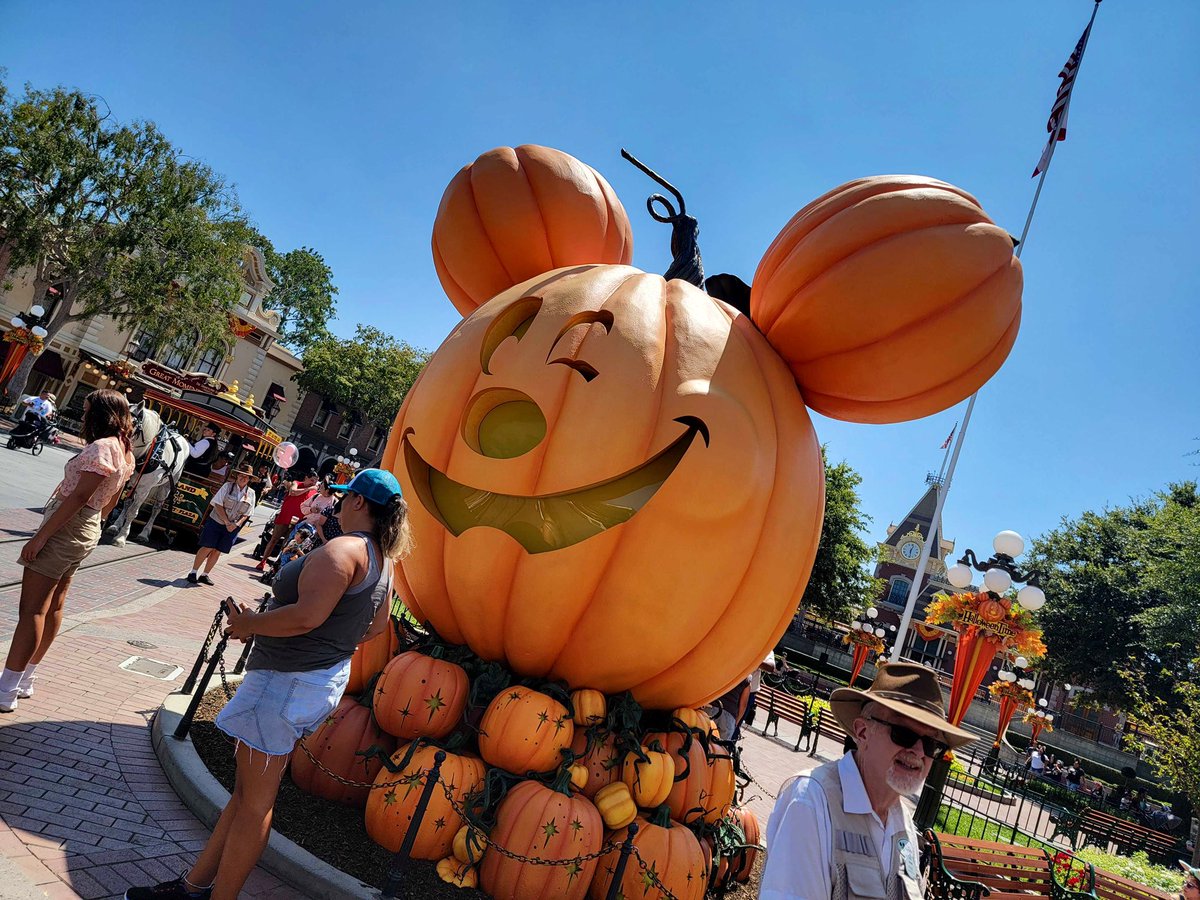 dlnt's tweet photo. HE HAS ARRIVED!!! https://t.co/byn9Zx9tDn