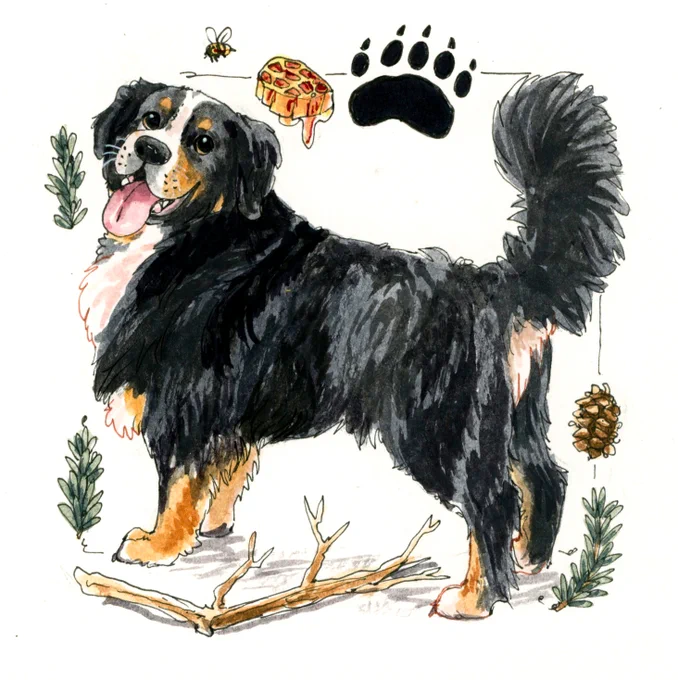 Open for a few micro &amp; mini pet portraits!! :) 