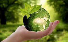 NATURALEZAV3's tweet photo. La naturaleza nos habla! 🌱 https://t.co/IcmRC5ivqu