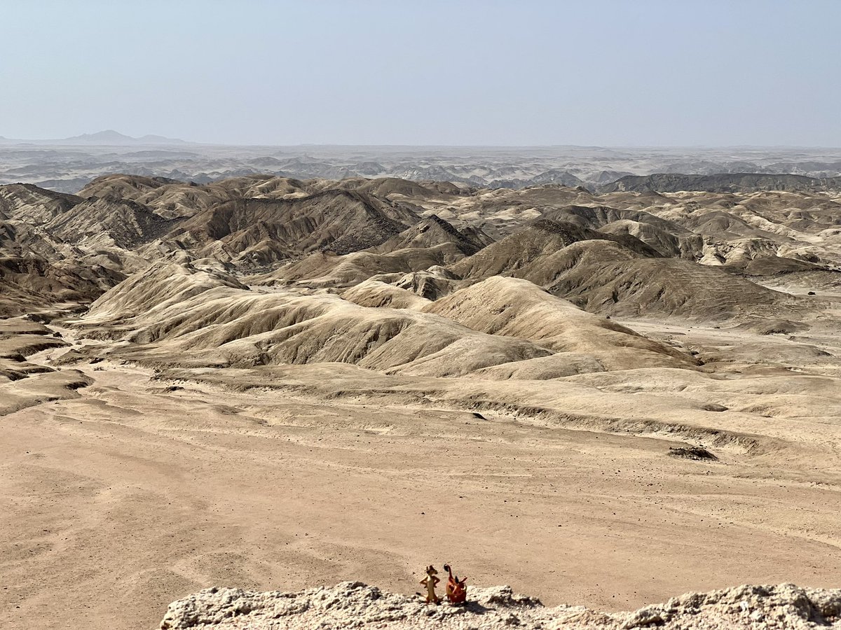 alvaudan's tweet photo. Bucket List #SandwichHarbour checked ✅ pour #Timon_And_Pumbaa. Grandiose ! A en perdre son latin 🤩 Après les dunes… la vallée de la lune (si paisible… sauf quand #madmax y roule ses mécaniques) #Backtotheroots https://t.co/QVr4neprCA