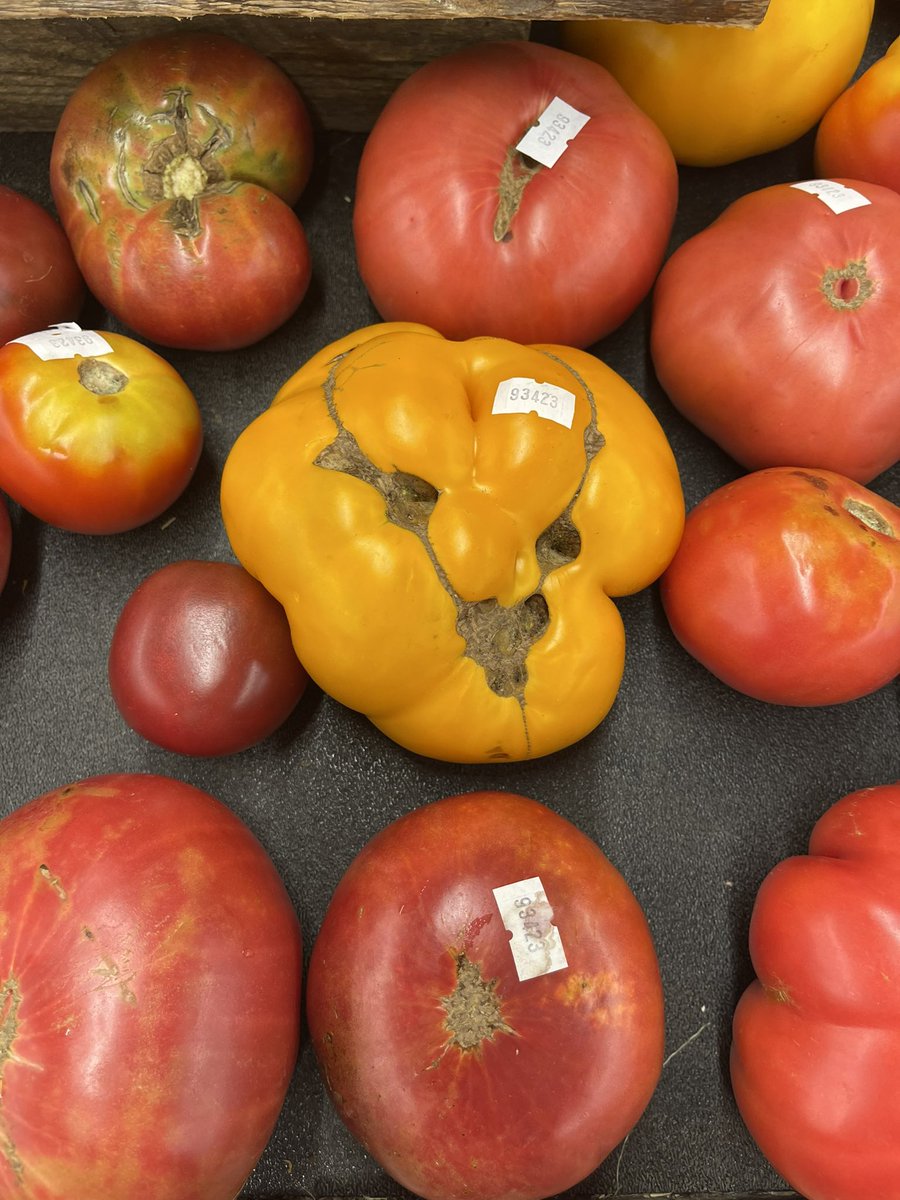 bapudepaise's tweet photo. This is why I never get produce from WHOLE FOODS https://t.co/4G6W03cUHz