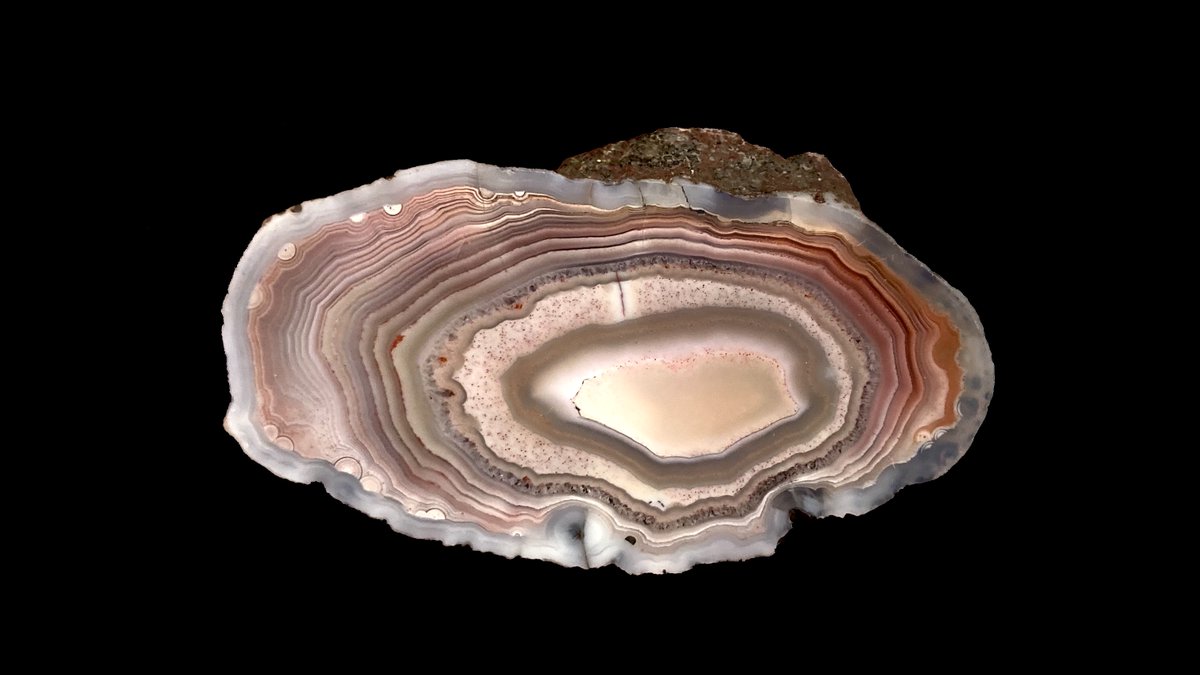 26th September 2022 — Angus