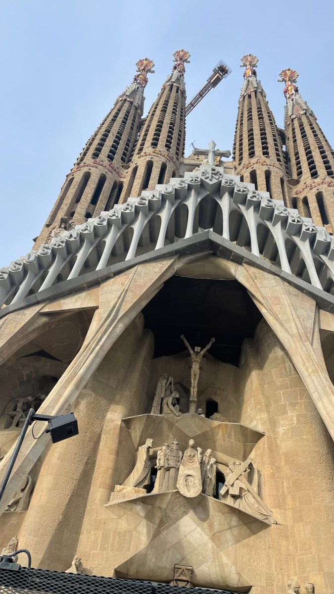 Sophia Ellen Jones 🖤 tweet media