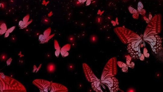 @vengefulfIower <a href="/jeweIeyes/">‘ 𝐀𝐓𝐇𝐀𝐍𝐀𝐒𝐈𝐀 .</a> <a href="/ruthlessobelia/">︎ ︎ ︎ ︎ ︎ ︎𝓒laude ︎ * ︎ ︎ ︎</a> <a href="/RKidrey/">Cayena RKidrey</a> @heirofheylon @StammeringFool <a href="/L0VEWEPT/">‘ 𝐋𝐔𝐂𝐈𝐅𝐄𝐋𝐋𝐀 .</a> <a href="/liliesby/">Lilies</a> <a href="/Solonsduchess/">𝐃𝐞𝐯𝐢𝐥 𝐨𝐟 𝐕𝐚𝐬𝐢𝐥𝐢𝐨𝐬 𝐄𝐦𝐩𝐢𝐫e</a> @jadetreason <a href="/KNIGHTOFNORTH/">Sandeep Ilakal</a> @BrokenSistine @RECKLESSAGRICHE <a href="/BeIlators/">⸝‍ ‍ ‍ ‍ ‍ ‍𝓒 ᴀ ᴇ s ᴀ ʀ・</a> ⠀⠀
⠀⠀⠀ With the doors finally being opened, thousands of crimson butterflies will flutter inside the ball, the stench of blood and death was evident as the heiress of the house would finally make her entrance ... 

( cont. )⠀⠀⠀